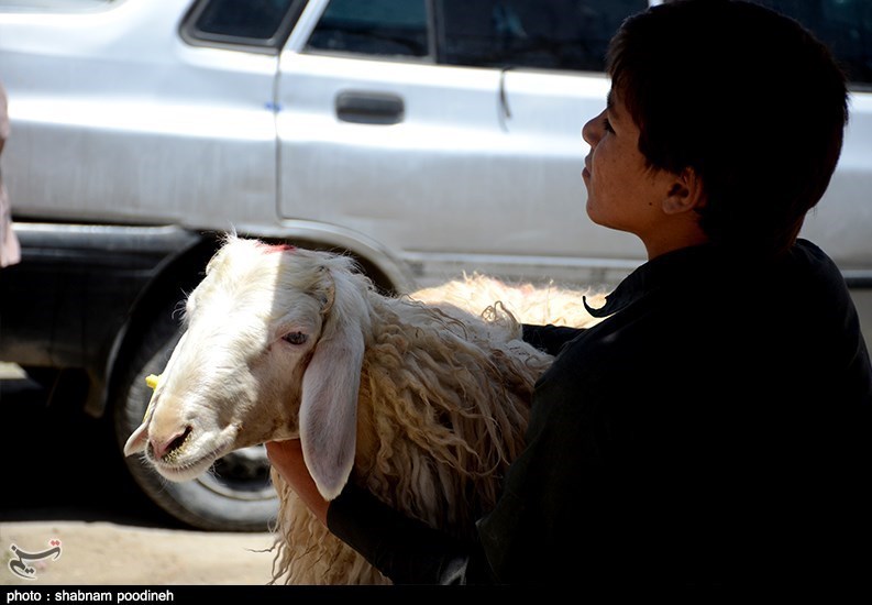 استان سیستان و بلوچستان , عید قربان , 