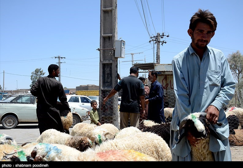 استان سیستان و بلوچستان , عید قربان , 