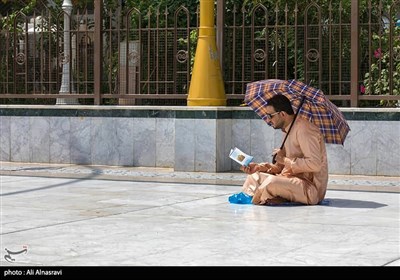 Muslims Perform Day of Arafah Prayers in Holy City of Karbala