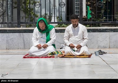 Muslims Perform Day of Arafah Prayers in Holy City of Karbala