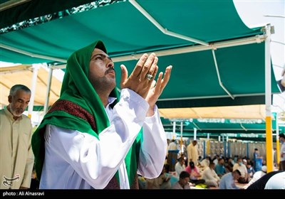 Muslims Perform Day of Arafah Prayers in Holy City of Karbala