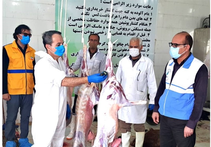 32 اکیپ دامپزشکی استان بوشهر رایگان بر ذبح بهداشتی دام در عید قربان نظارت می‌کنند