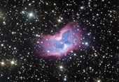 Astronomers Spot Extremely Rare &apos;Space Butterfly&apos; in Stars