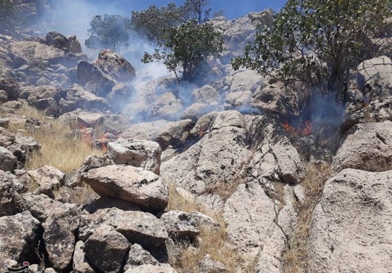 آتش‌سوزی جنگل‌های کوهدشت پس‌ از 3 روز مهار شد