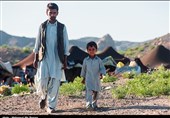 سیستان و بلوچستان|1900 خانوار عشایری دلگان تا پایان سال از شبکه آب شرب بهره‌مند می‌شوند