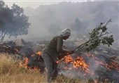 70 درصد آتش سوزی‌های مراتع اندیکا خوزستان ناشی از عوامل انسانی است