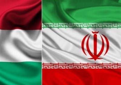  اعلام آمادگی رئیس مجلس مجارستان برای توسعه همکاری‌های فرهنگی و علمی با ایران 