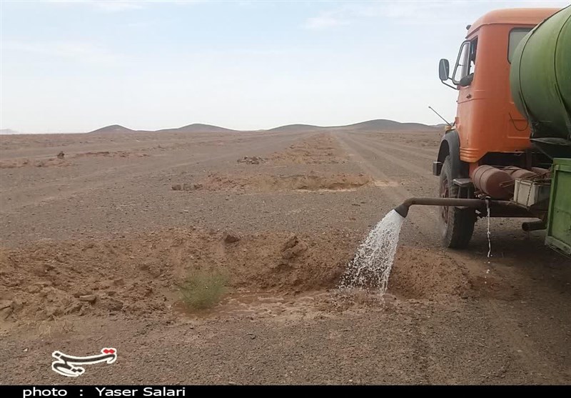 عملیات مراقبت و آبیاری سنواتی در کانون‌های بحرانی استان خراسان جنوبی آغاز شد