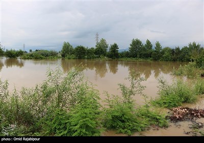 خسارات سیلاب و آبگرفتگی در گیلان