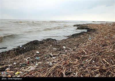 سیلاب زباله های رودخانه ای در ساحل شیرمحله کلاچای