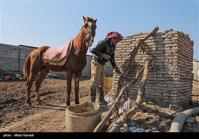 روستای ابوالبوه در جنوب غربی خوزستان و در همسایگی تالاب هور العظیم است .که شغل آنها دامداری و کشاورزی و همچنین ماهیگیری است زندگی در روستای ابوالبوه فصلی است در فصل زمستان و بهار پانزده خانوار ودرتابستان به دلیل گرمی هوا و نبود امکانات و خشکسالی مجبور میشوند که به شهر برگردند و فقط چهار خانوار در تابستان آنجا زندگی میکنند .