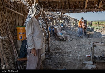 روستای ابوالبوه در جنوب غربی خوزستان و در همسایگی تالاب هور العظیم است .که شغل آنها دامداری و کشاورزی و همچنین ماهیگیری است زندگی در روستای ابوالبوه فصلی است در فصل زمستان و بهار پانزده خانوار ودرتابستان به دلیل گرمی هوا و نبود امکانات و خشکسالی مجبور میشوند که به شهر برگردند و فقط چهار خانوار در تابستان آنجا زندگی میکنند .
