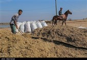 تهران| معاون استاندار تهران بر استفاده از ظرفیت کشاورزی و صنعتی در ری تاکید کرد
