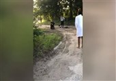 Black Man Filmed Begging US Police Not to Shoot Teenage Sons (+Video)