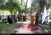 نشست خبری سخنگوی شورای نگهبان