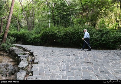 بوستان جمشیدیه