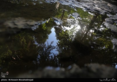 بوستان جمشیدیه