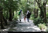 فضای سبز تهران تا سال 1410 با پساب تصفیه‌خانه‌ها آبیاری می‌شود