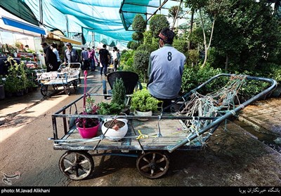 بازار گل تهران در روزهای کرونای
