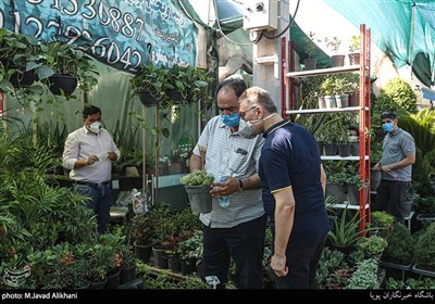 بازار گل تهران در روزهای کرونای