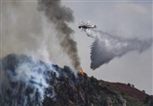 هشدار فرماندار کالیفرنیا درباره گسترش آتش سوزی