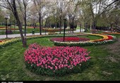 دومین پارک بانوان کرمانشاه در نیمه اول امسال به بهره‌برداری می‌رسد