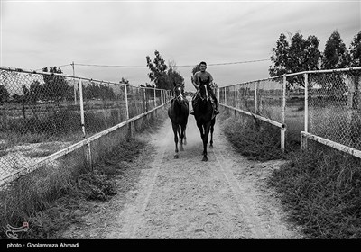 هیچ نهاد مرتبط یا مسئول مرتبط با این ورزش به گفته اسب داران برای بهبود شرایط و گذران این روزهای سخت ارتباطی با آنها نداشته اند.