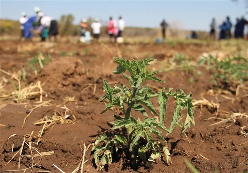 FAO Helps Iran Boost Its Agricultural Drought Monitoring Systems
