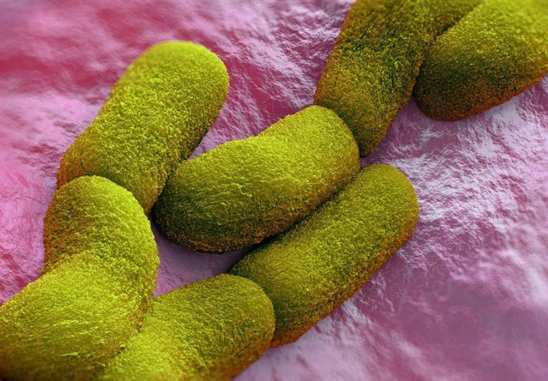US State of California Confirms First Case of Plague in 5 Years