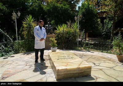 به مناسبت روز پزشک - شیراز