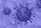 Early Immune Response May Contribute to Severe COVID-19