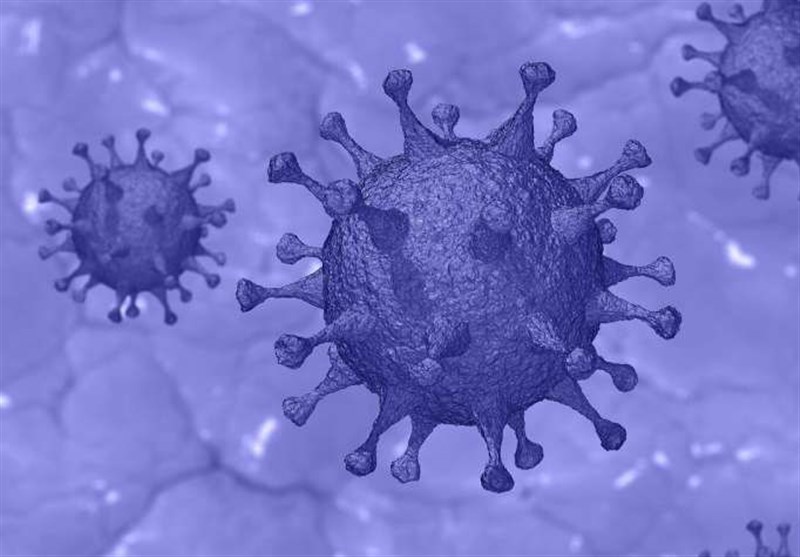 Early Immune Response May Contribute to Severe COVID-19