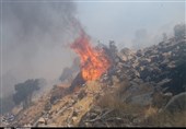 آتش‌سوزی جنگل‌ها و مراتع در استان ایلام کاهش یافت