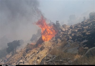 آتش سوزی جنگل‌های «دنا» مهار شد 