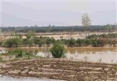 سیلاب امسال 5 میلیارد تومان به کشاورزی پلدختر خسارت وارد کرد