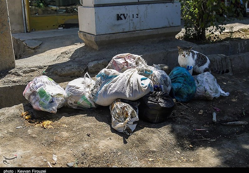 گزارش|تجمع انبوه زباله‌ و بوی بسیار بد‌ در محلات سنندج/ کسبه و ساکنان به ستوه آمده‌اند+تصاویر