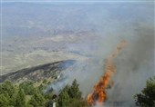 150 هکتار از بافت گیاهی قزوین و گیلان در آتش سوخت