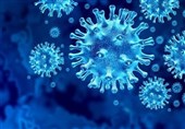 Expert Warns against Mass Hand Sanitizer Use during Coronavirus Pandemic