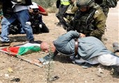 کرانه باختری|بازداشت 339 فلسطینی از جمله 4 زن و 8 کودک در سپتامبر گذشته