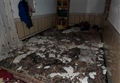 گلستان| ماجرای خانههای تخریب شده در روستای " وطن" آزادشهر؛ از ادعای نماینده تا تکذیب بنیاد مسکن