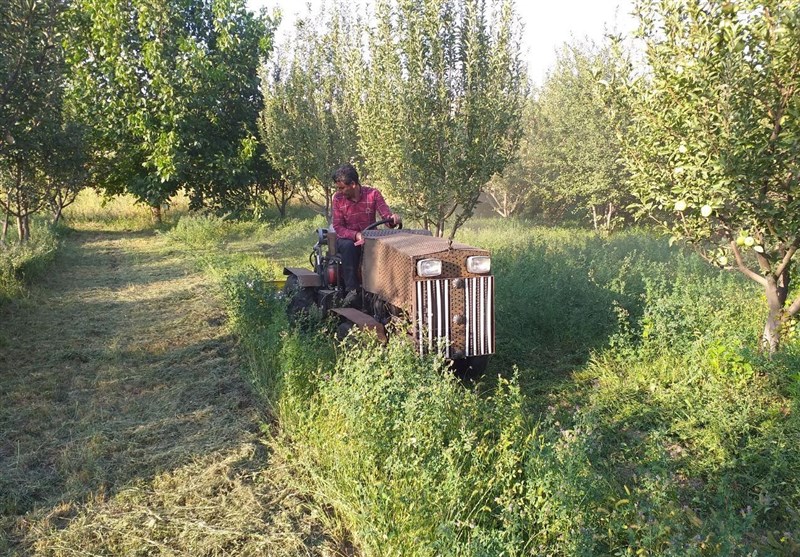 گزارش ویدئویی‌| ‌ساخت ادوات کشاورزی‌ از وسایل دور ریختنی / ماجرای پیکانی که ‌به تراکتور چند‌کاره تبدیل شد