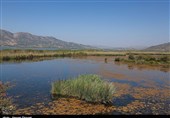 نماینده مریوان در مجلس: دریاچه زریبار را به روزهای خوش برمی‌گردانیم