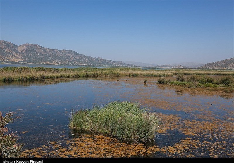 شمارش معکوس برای نابودی دریاچه زریبار مریوان/ عملکرد مسئولان محیط‌زیست دادِ استاندار را هم درآورد+ تصاویر
