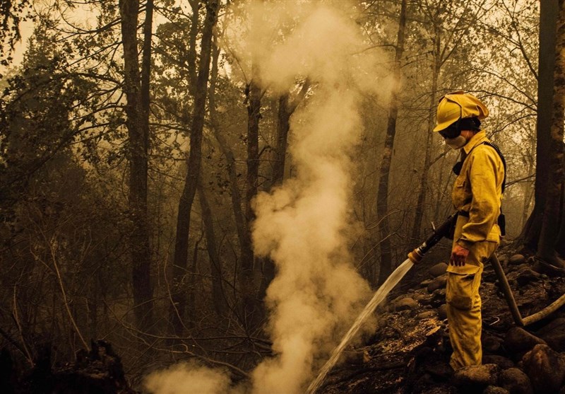 افزایش تلفات آتش سوزی در مناطق غربی آمریکا