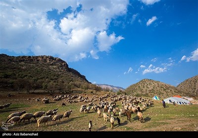 دامنه رشته کوه گرین، منطقه کوهستانی کهمان، روستای هنام و حومه این شهرستان