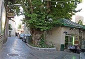 سودای بلند پروازی در جماران