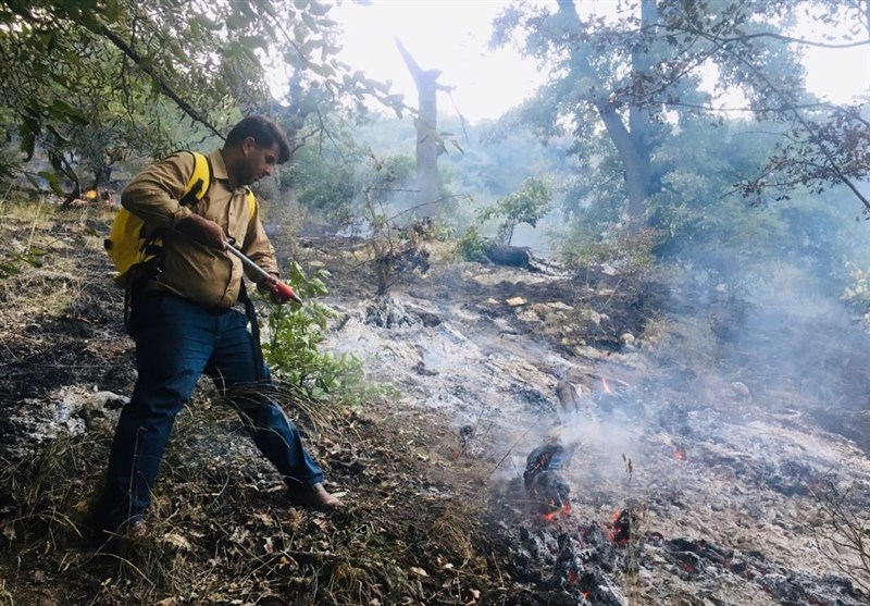 آخرین اخبار از آتش سوزی جنگل‌های گچساران؛ شعله‌های آتش بیداد می‌کند
