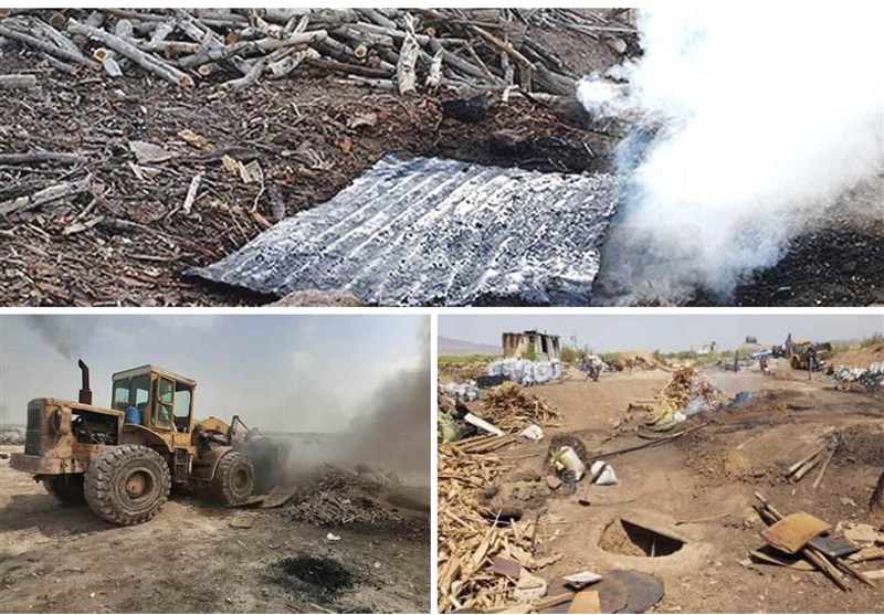 11 کوره غیرمجاز زغال در شهرستان ری تخریب شد