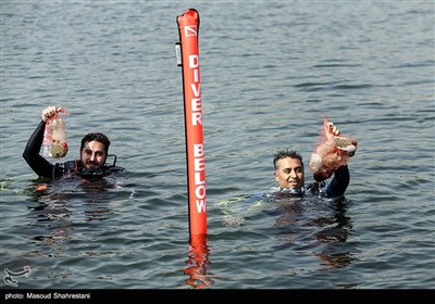 پاکسازی دریاچه آزادی