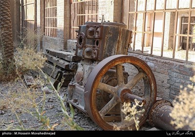 کارخانه سیمان ری